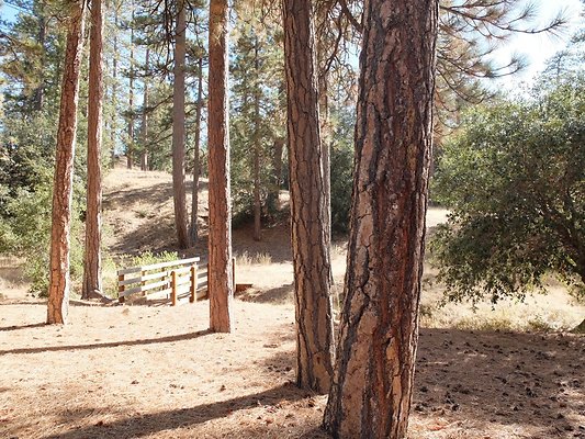 Charlton.Flats.USFS.78