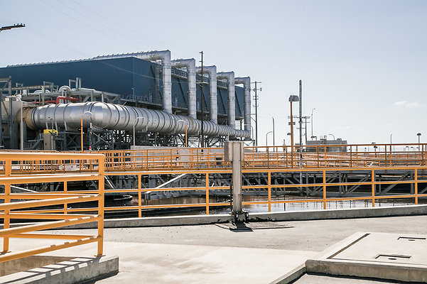 Hyperion.H2O.Plant.118