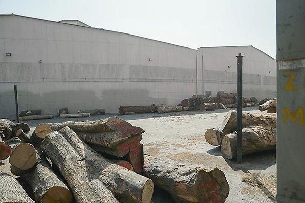TLP0105