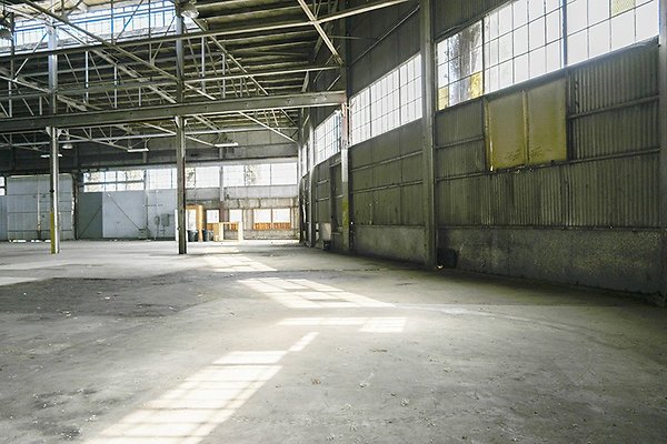 TLP0101
