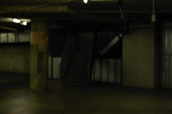 DSC 0040