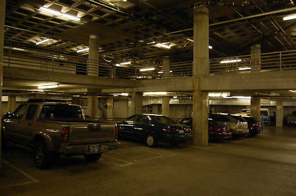 DSC 0055