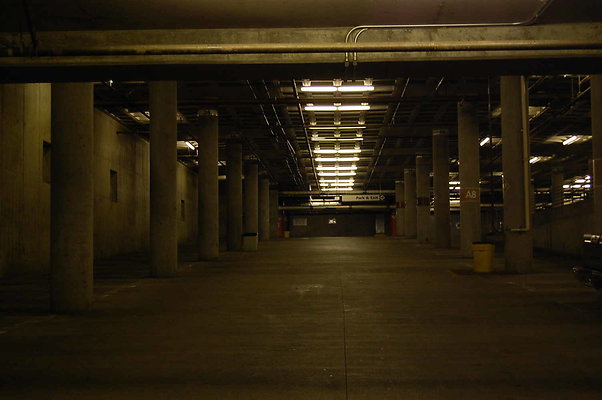 DSC 0051