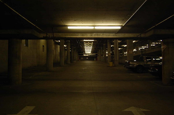 DSC 0036