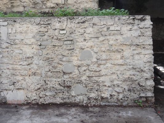 DSC07365