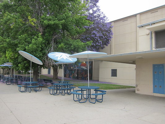 Reseda.HS.110