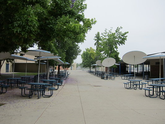 Reseda.HS.82