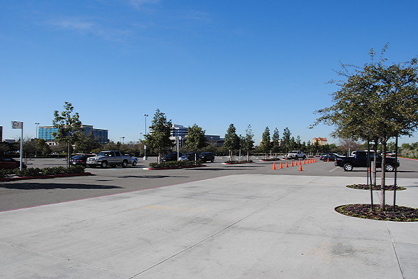 DSC 0008