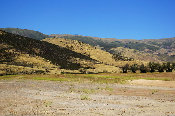 Upper.Pad.Area.SOS.07