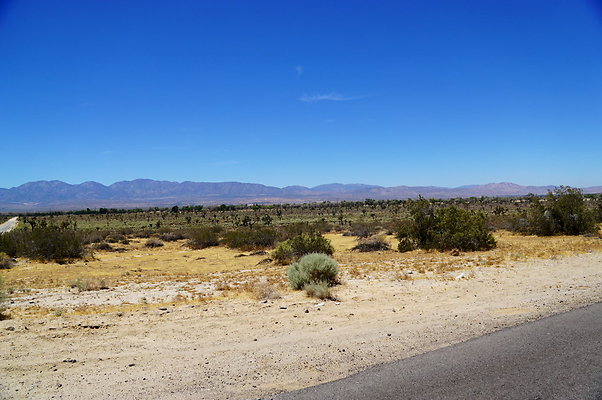 Ave.Q.145.150.E.02