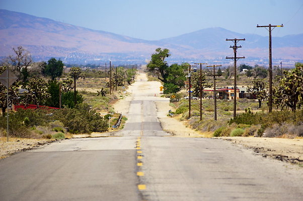 Ave.Q.145.150.E.08