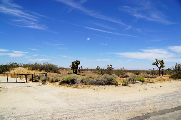 150th.E.at M.North.07