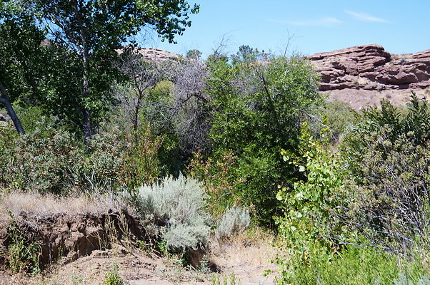 ARM.Rocks,SOS142