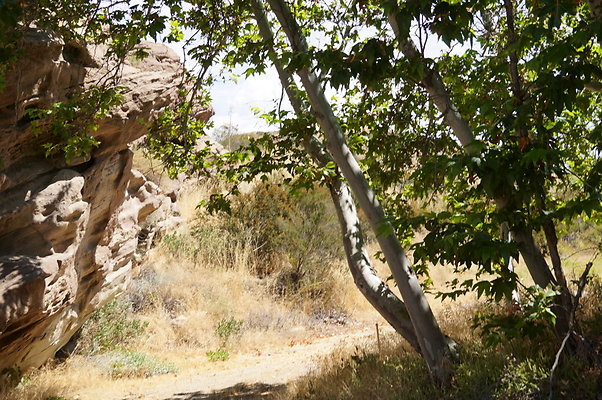 ARM.Rocks,SOS68