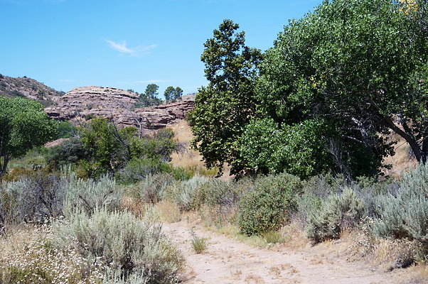 ARM.Rocks,SOS134