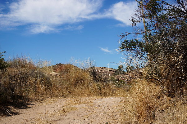 ARM.Rocks,SOS132