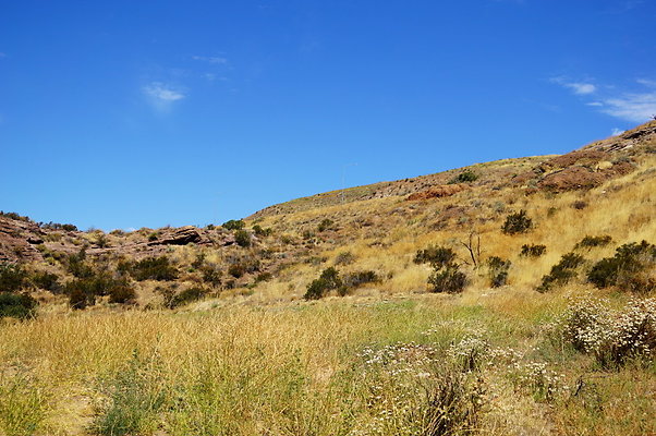 ARM.Rocks,SOS92