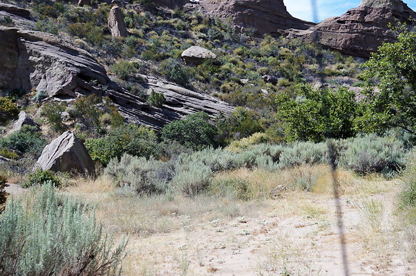 ARM.Rocks,SOS136