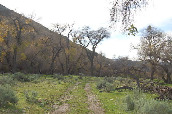 DSC 0013