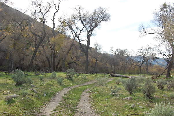 DSC 0014