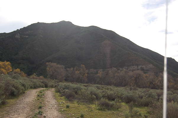 DSC 0003