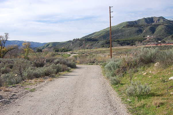 DSC 0074
