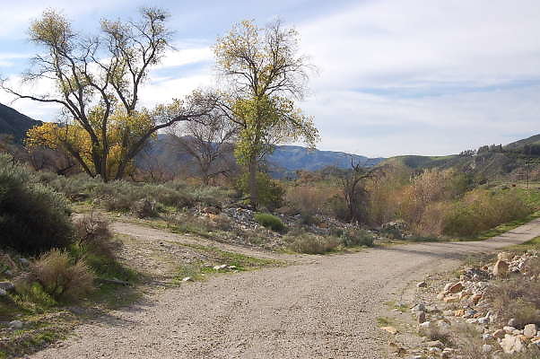 DSC 0079