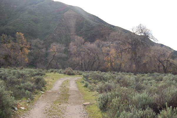 DSC 0010