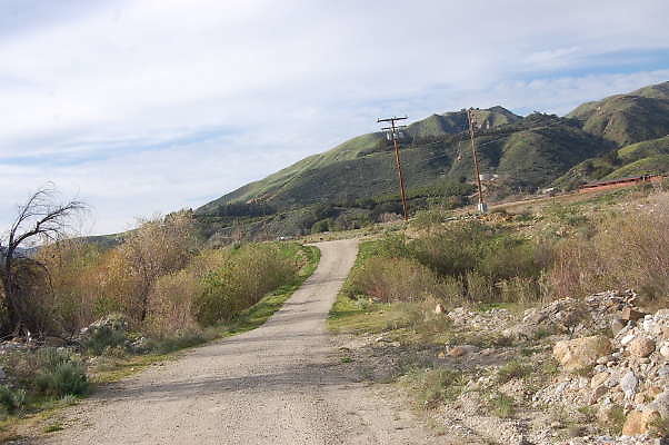 DSC 0082