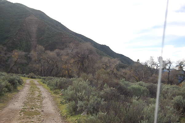 DSC 0009