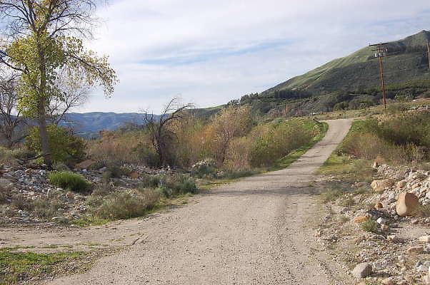 DSC 0080