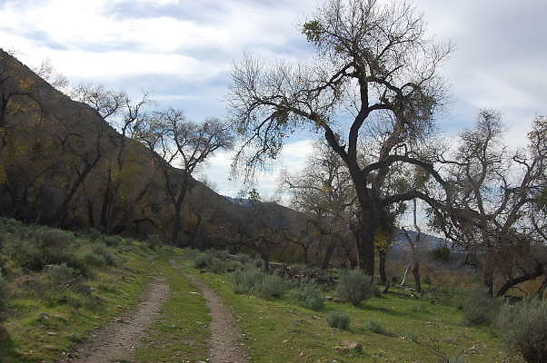 DSC 0012