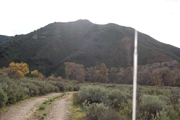 DSC 0004