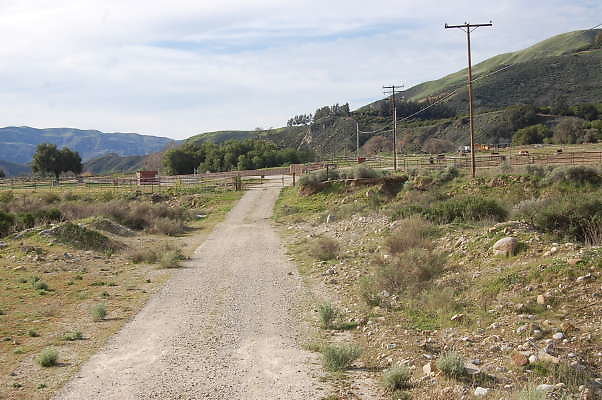 DSC 0087