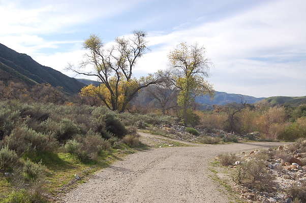 DSC 0078