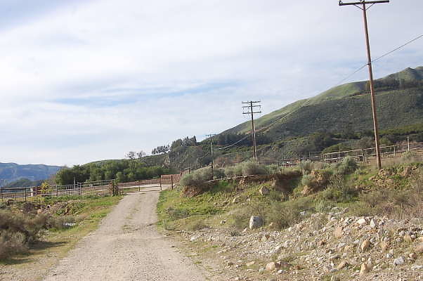 DSC 0088