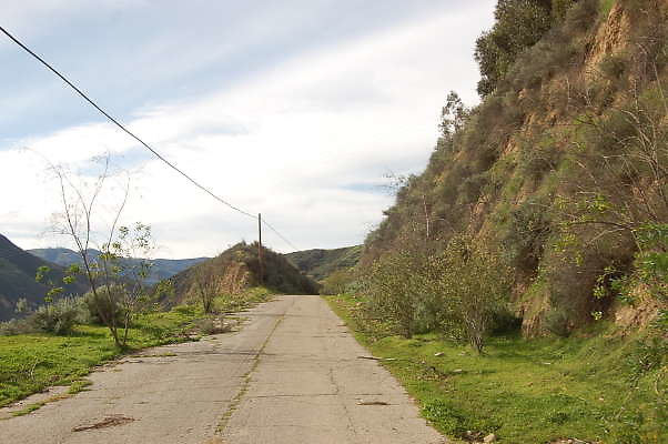 DSC 0094