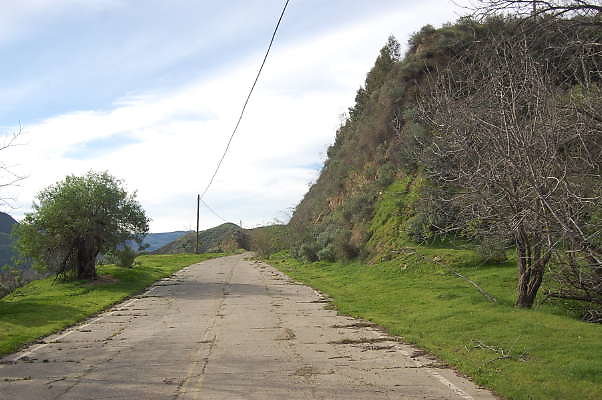 DSC 0092