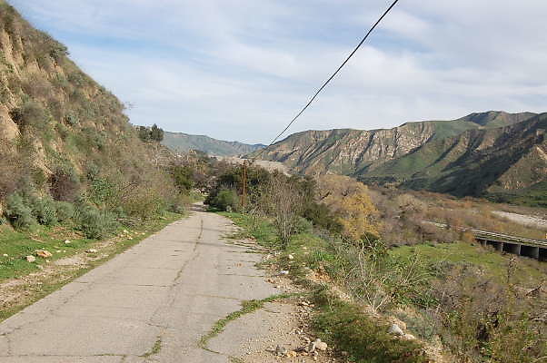 DSC 0103