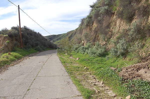 DSC 0095