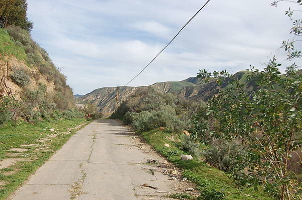 DSC 0100