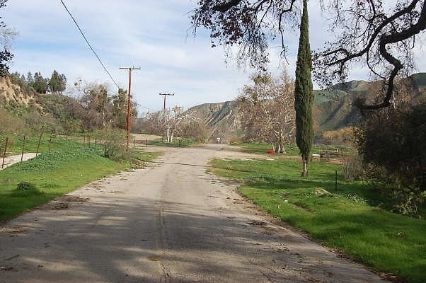DSC 0108
