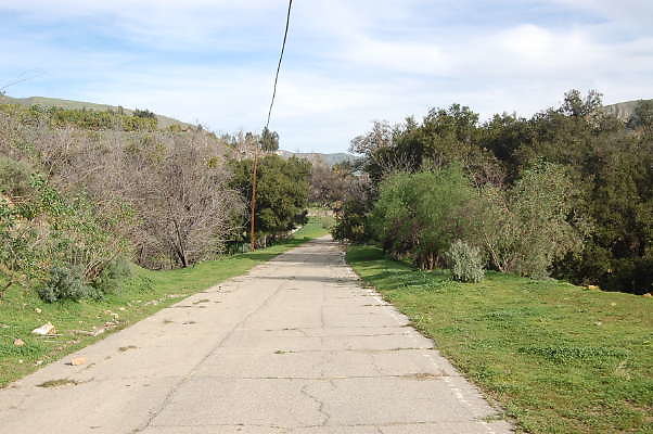 DSC 0105