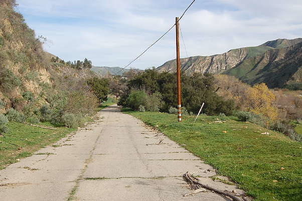 DSC 0104