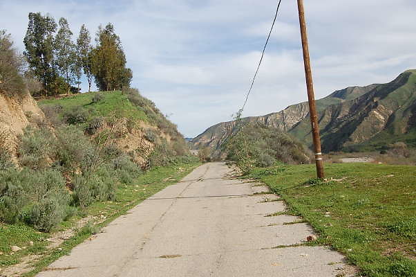 DSC 0099