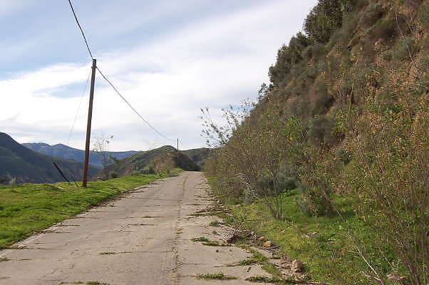 DSC 0093