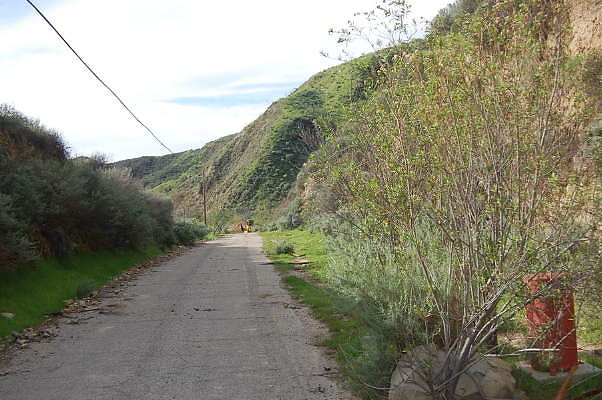 DSC 0096