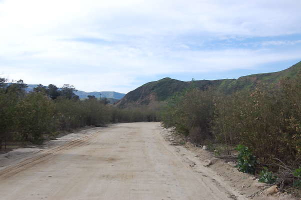 DSC 0202