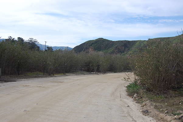 DSC 0203