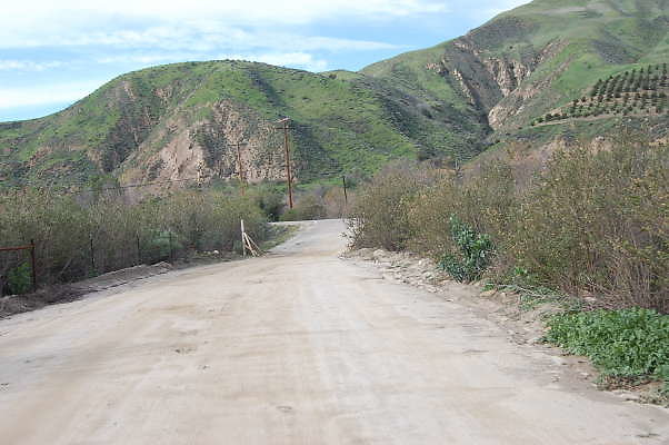 DSC 0204